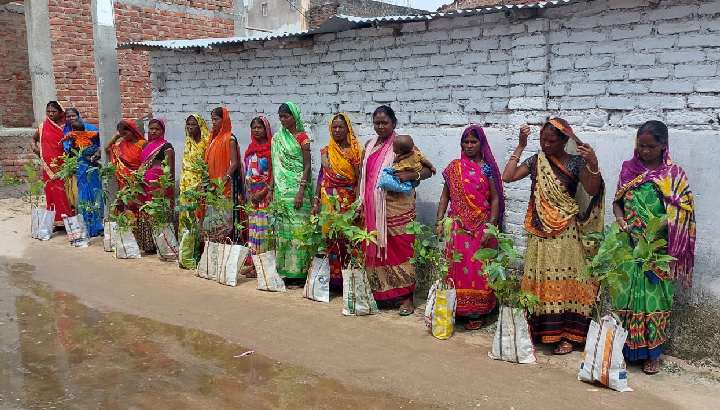Frauen in Indien bereiten Gemüseanbau vor